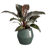 june split low 46cm smaragdgroen